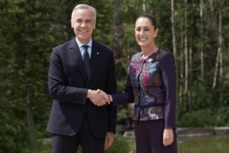 G7